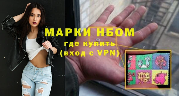 кокс Елизово