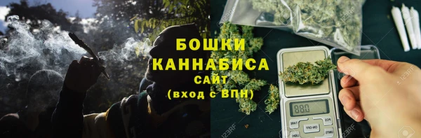 прущие крисы Елабуга