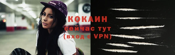 кокс Елизово