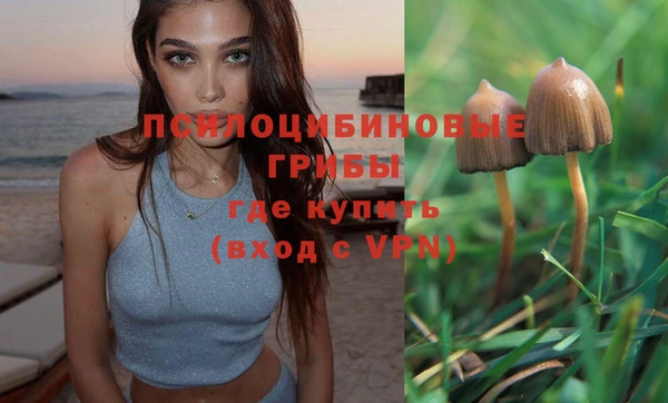 прущие крисы Елабуга