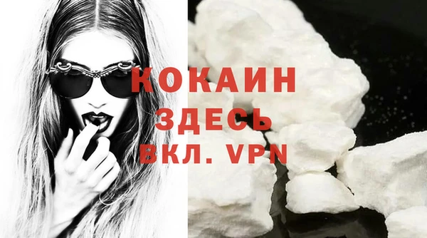кокс Елизово