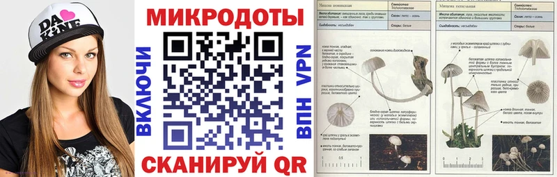 Галлюциногенные грибы Cubensis  мориарти официальный сайт  omg ONION  Южно-Сухокумск  даркнет сайт 
